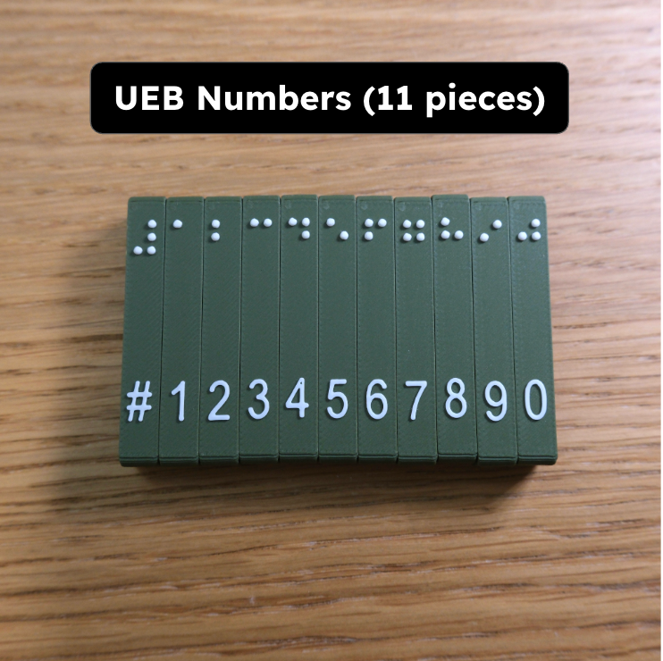 Magnetic Math Braille Blocks! (UEB and Nemeth)